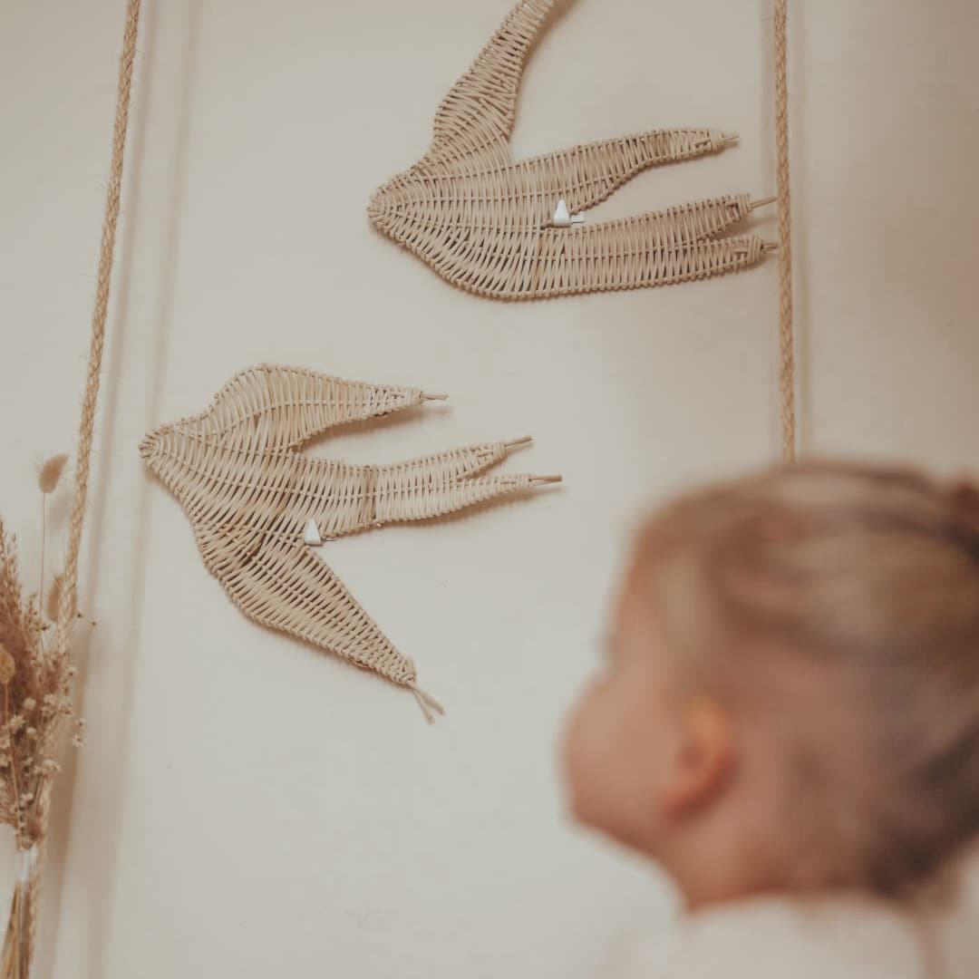 Rotan zwaluw set van 2